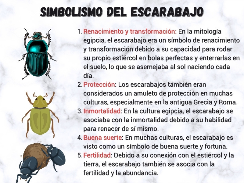 Simbolismo del escarabajo