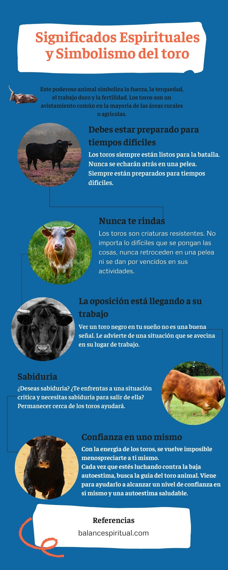 Infografia - Significados Espirituales y Simbolismo del toro