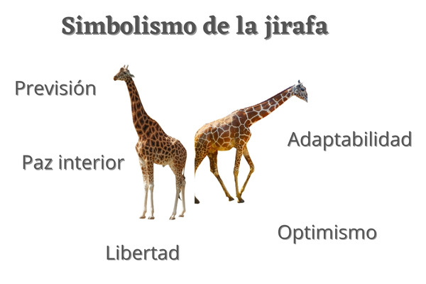 Simbolismo de la jirafa