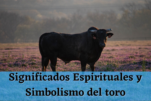 Significados Espirituales y Simbolismo del toro