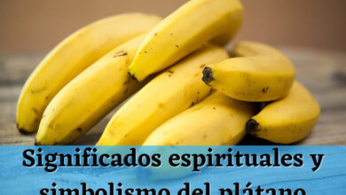 Significados espirituales y simbolismo del plátano