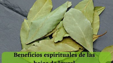 Beneficios espirituales de las hojas de laurel