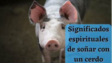 Significados espirituales de soñar con un cerdo