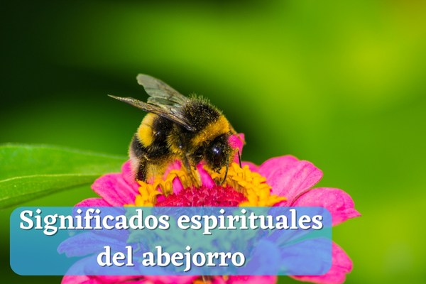 Significados espirituales del abejorro