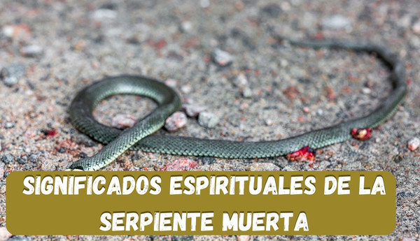 significados espirituales de la serpiente muerta